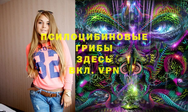 прущие крисы Киренск