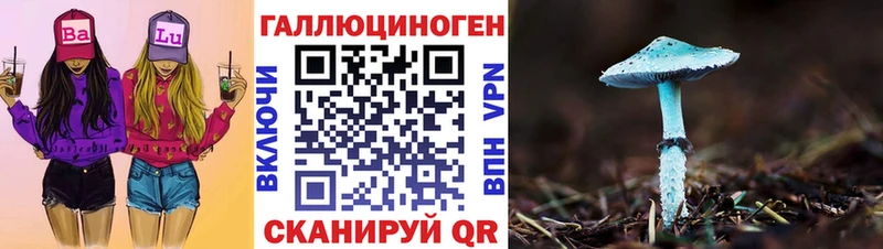Купить Ливны Галлюциногенные грибы GOLDEN TEACHER